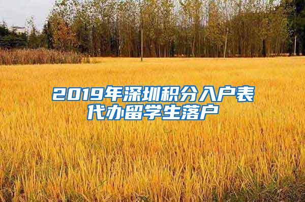 2019年深圳积分入户表代办留学生落户