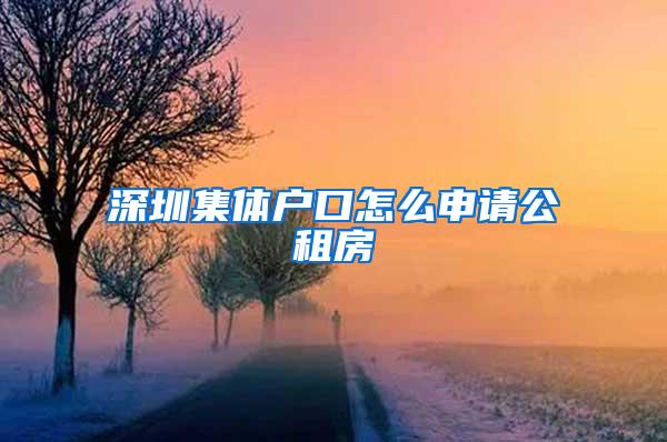 深圳集体户口怎么申请公租房