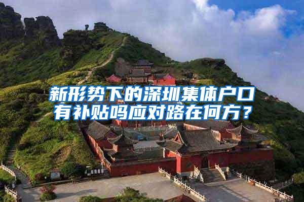 新形势下的深圳集体户口有补贴吗应对路在何方？