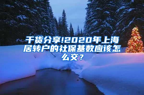 干货分享!2020年上海居转户的社保基数应该怎么交？