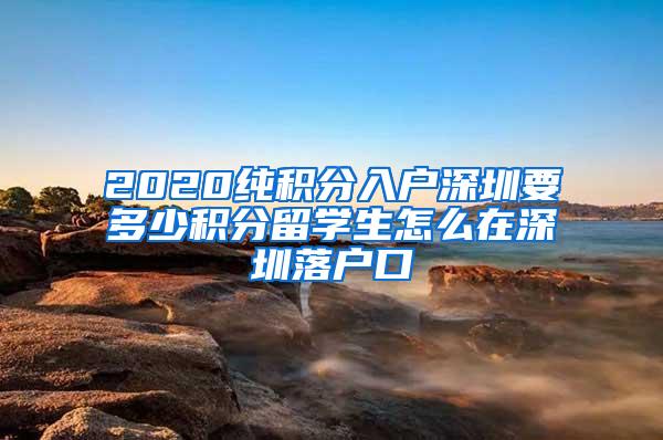 2020纯积分入户深圳要多少积分留学生怎么在深圳落户口