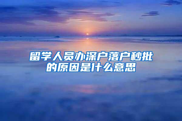 留学人员办深户落户秒批的原因是什么意思