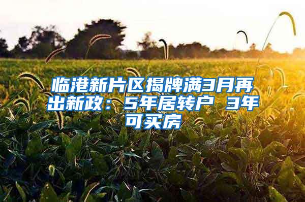 临港新片区揭牌满3月再出新政：5年居转户 3年可买房