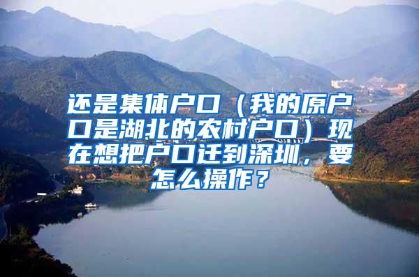 还是集体户口（我的原户口是湖北的农村户口）现在想把户口迁到深圳，要怎么操作？