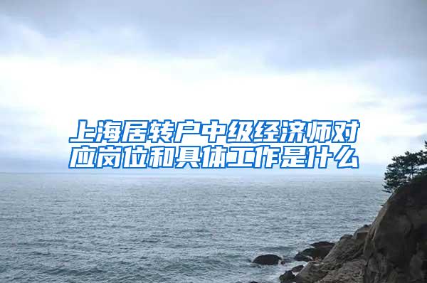 上海居转户中级经济师对应岗位和具体工作是什么