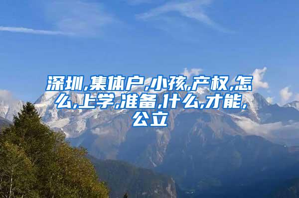 深圳,集体户,小孩,产权,怎么,上学,准备,什么,才能,公立