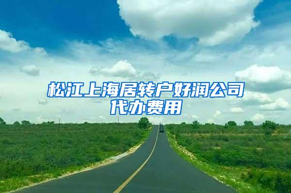 松江上海居转户好润公司代办费用