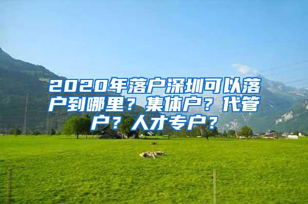 2020年落户深圳可以落户到哪里？集体户？代管户？人才专户？