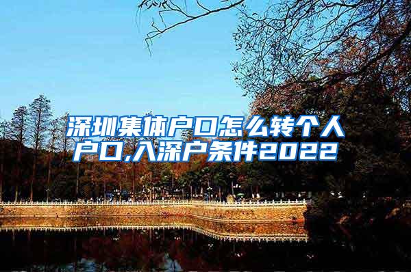 深圳集体户口怎么转个人户口,入深户条件2022