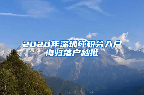 2020年深圳纯积分入户海归落户秒批