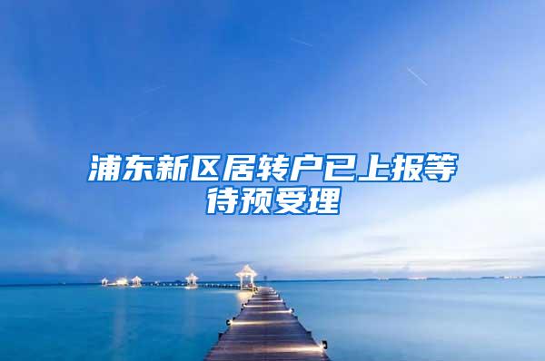 浦东新区居转户已上报等待预受理