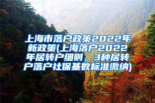 上海市落户政策2022年新政策(上海落户2022年居转户细则，3种居转户落户社保基数标准缴纳)