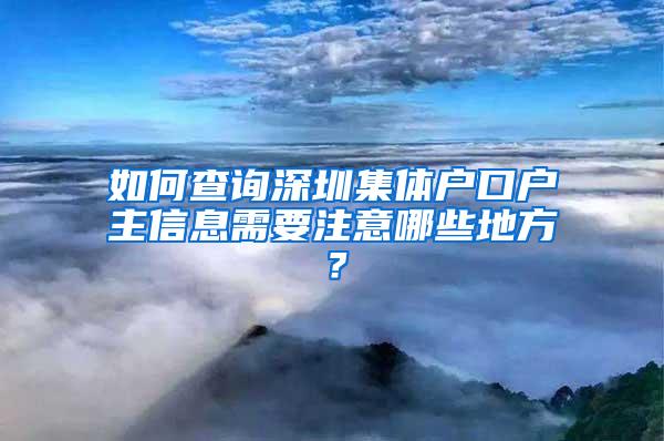 如何查询深圳集体户口户主信息需要注意哪些地方？