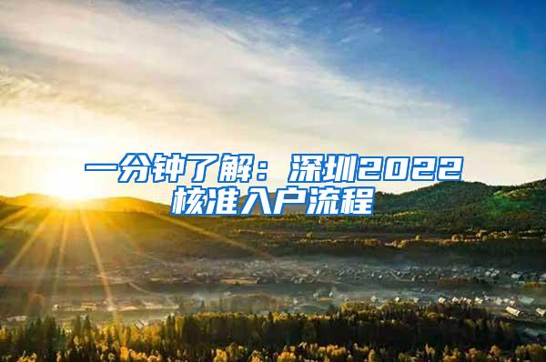 一分钟了解：深圳2022核准入户流程