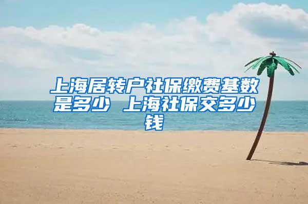 上海居转户社保缴费基数是多少 上海社保交多少钱