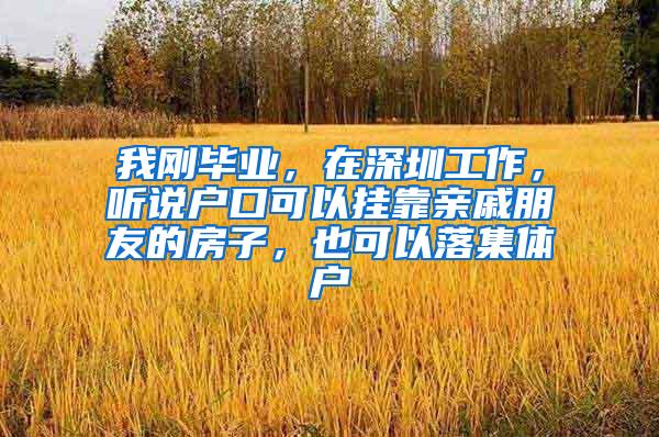 我刚毕业，在深圳工作，听说户口可以挂靠亲戚朋友的房子，也可以落集体户