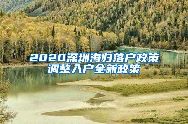 2020深圳海归落户政策调整入户全新政策