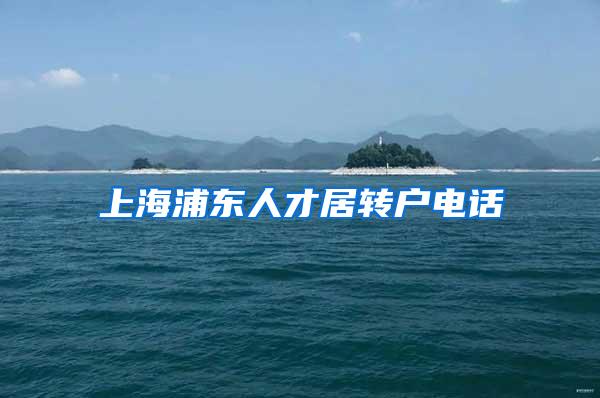 上海浦东人才居转户电话