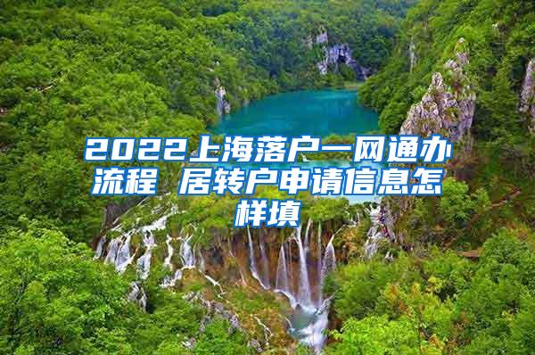 2022上海落户一网通办流程 居转户申请信息怎样填