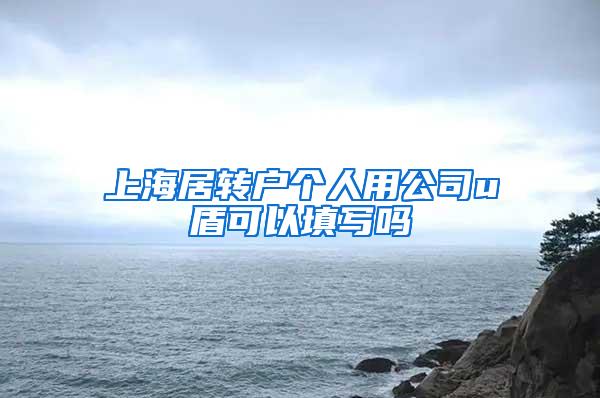 上海居转户个人用公司u盾可以填写吗