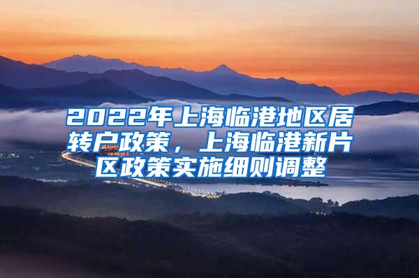 2022年上海临港地区居转户政策，上海临港新片区政策实施细则调整