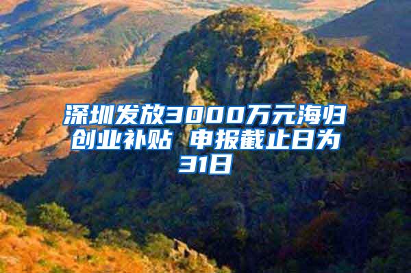 深圳发放3000万元海归创业补贴 申报截止日为31日