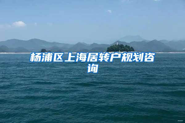 杨浦区上海居转户规划咨询