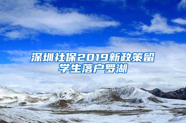 深圳社保2019新政策留学生落户罗湖