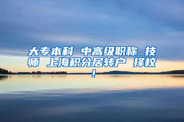 大专本科 中高级职称 技师 上海积分居转户 择校！