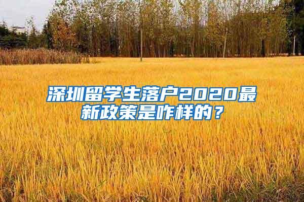 深圳留学生落户2020最新政策是咋样的？