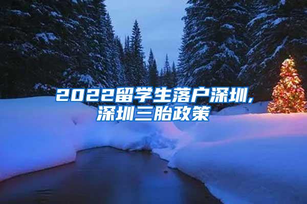 2022留学生落户深圳,深圳三胎政策