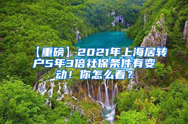 【重磅】2021年上海居转户5年3倍社保条件有变动！你怎么看？