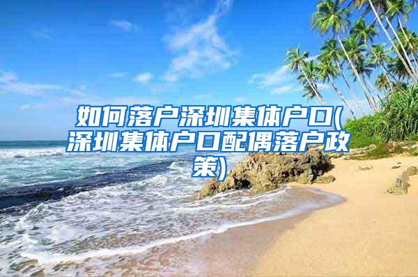 如何落户深圳集体户口(深圳集体户口配偶落户政策)