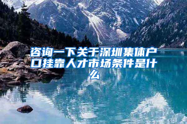 咨询一下关于深圳集体户口挂靠人才市场条件是什么