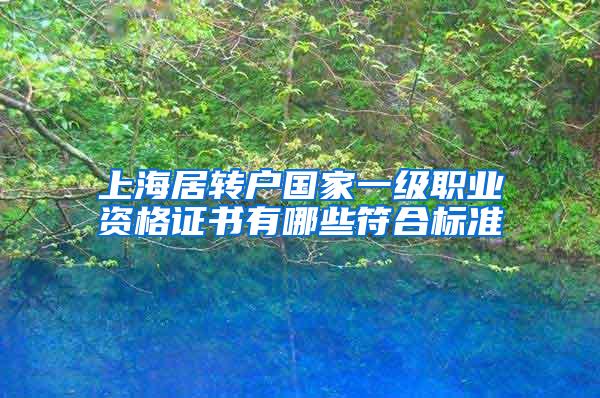 上海居转户国家一级职业资格证书有哪些符合标准