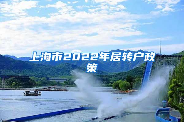 上海市2022年居转户政策