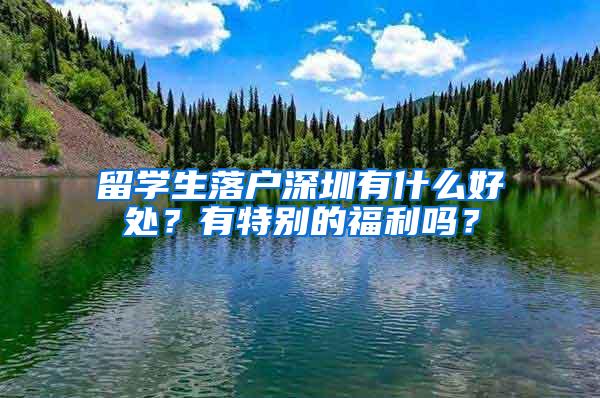 留学生落户深圳有什么好处？有特别的福利吗？