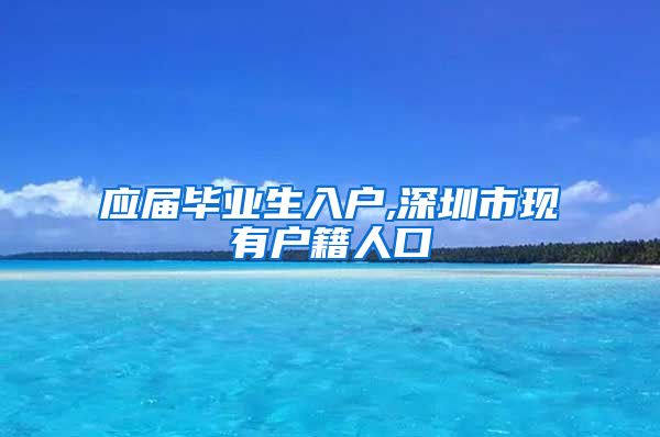 应届毕业生入户,深圳市现有户籍人口