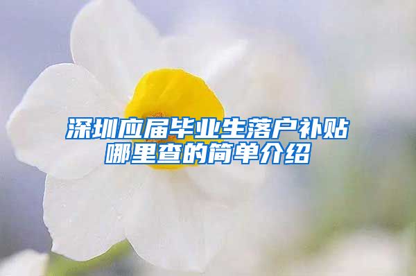 深圳应届毕业生落户补贴哪里查的简单介绍