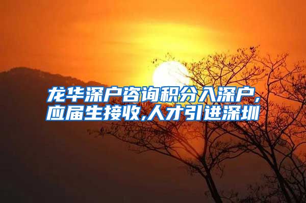 龙华深户咨询积分入深户,应届生接收,人才引进深圳