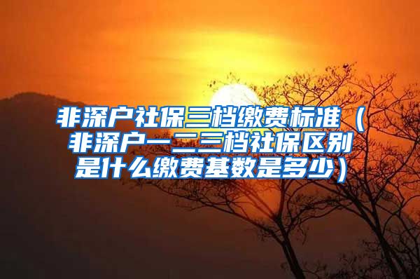 非深户社保三档缴费标准（非深户一二三档社保区别是什么缴费基数是多少）