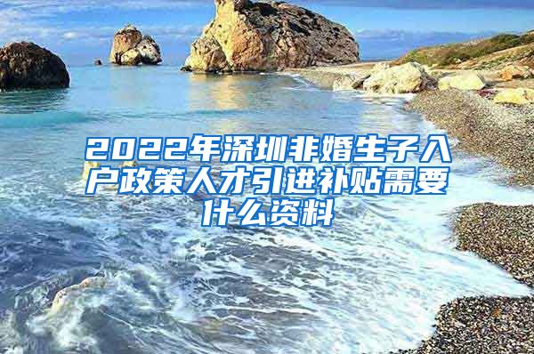 2022年深圳非婚生子入户政策人才引进补贴需要什么资料