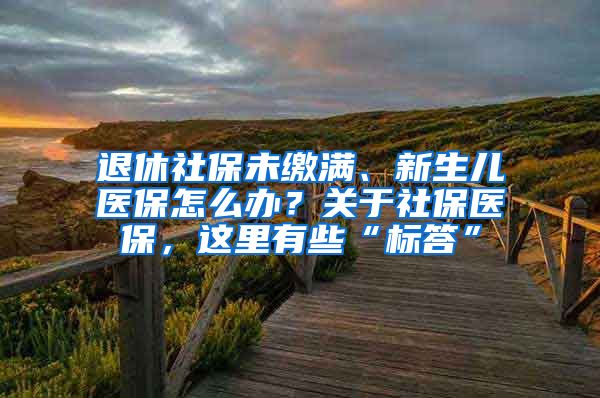 退休社保未缴满、新生儿医保怎么办？关于社保医保，这里有些“标答”