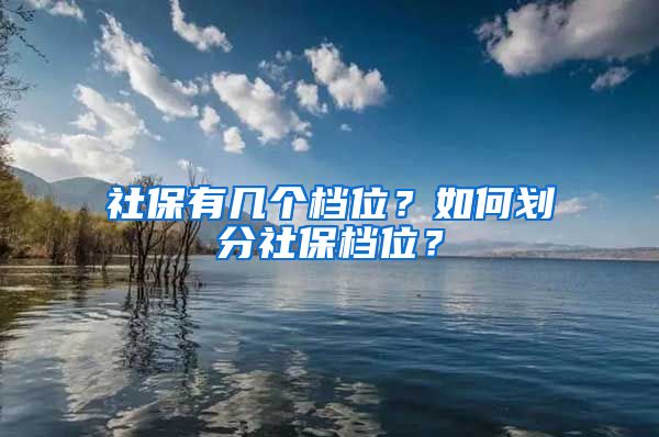 社保有几个档位？如何划分社保档位？