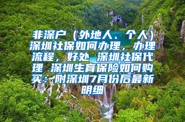 非深户（外地人、个人）深圳社保如何办理，办理流程，好处 深圳社保代理 深圳生育保险如何购买：附深圳7月份后最新明细