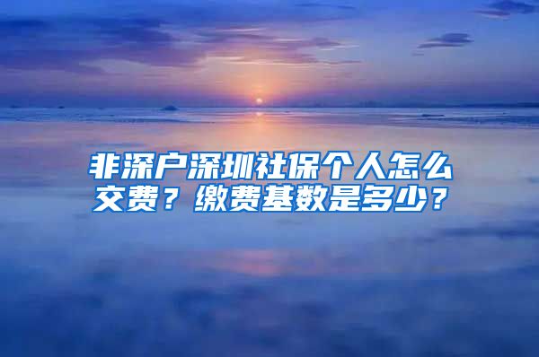 非深户深圳社保个人怎么交费？缴费基数是多少？