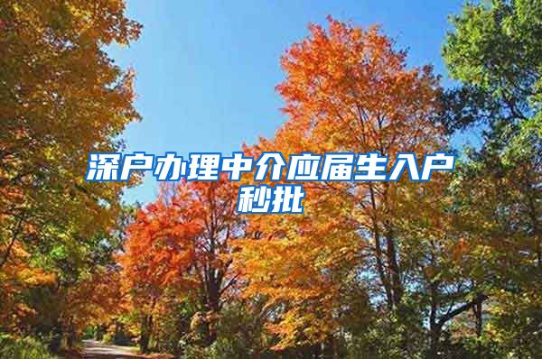 深户办理中介应届生入户秒批