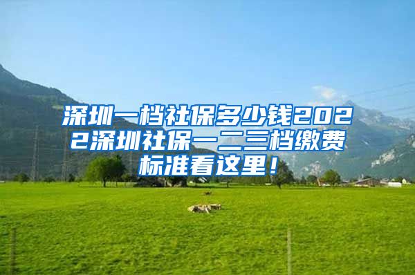 深圳一档社保多少钱2022深圳社保一二三档缴费标准看这里！