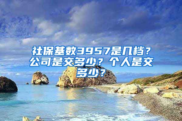 社保基数3957是几档？公司是交多少？个人是交多少？