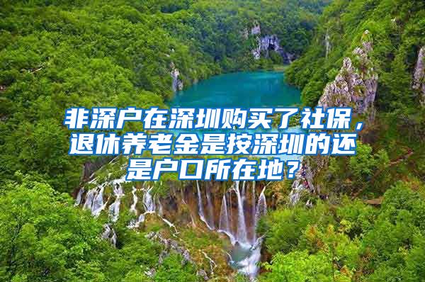 非深户在深圳购买了社保，退休养老金是按深圳的还是户口所在地？